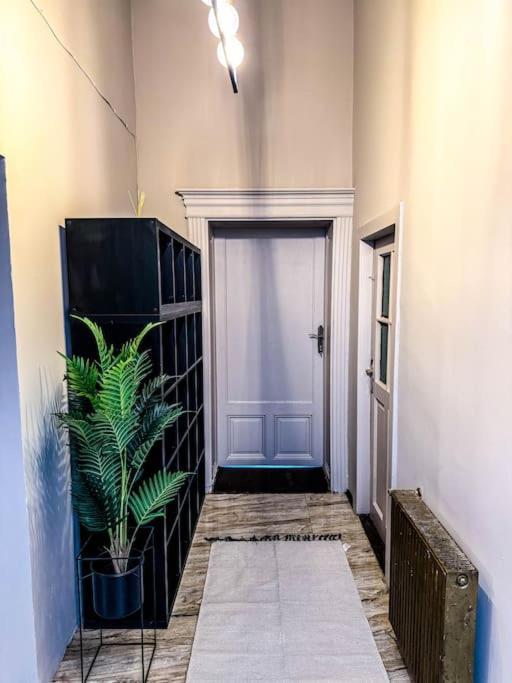 Appartamento Cozy & Charming Apt. Downtown Timisoara Esterno foto