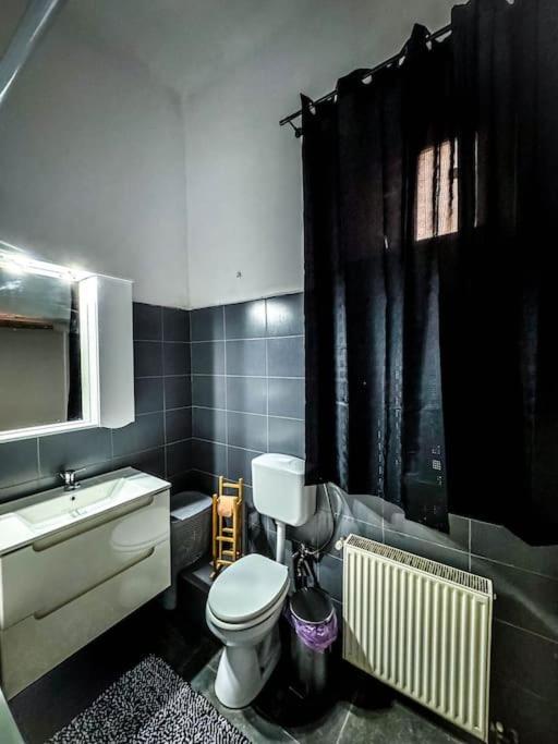 Appartamento Cozy & Charming Apt. Downtown Timisoara Esterno foto