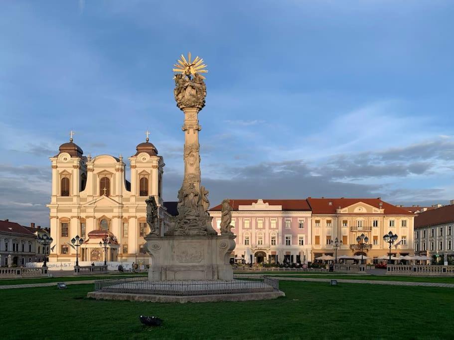 Appartamento Cozy & Charming Apt. Downtown Timisoara Esterno foto